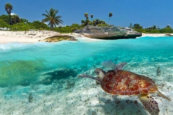 Kuwa Zanzibar Aparthotel Kiwengwa  Ngoại thất bức ảnh